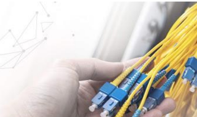 Mano sosteniendo un haz de latiguillos de fibra óptica amarillos con conectores azules.
